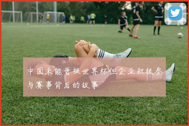 中国未能晋级世界杯但企业积极参与赛事背后的故事